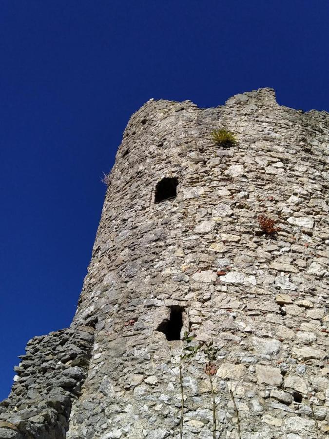 FEWO Blick Falkenstein Pfronten Exterior foto